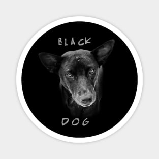 Black Dog Magnet